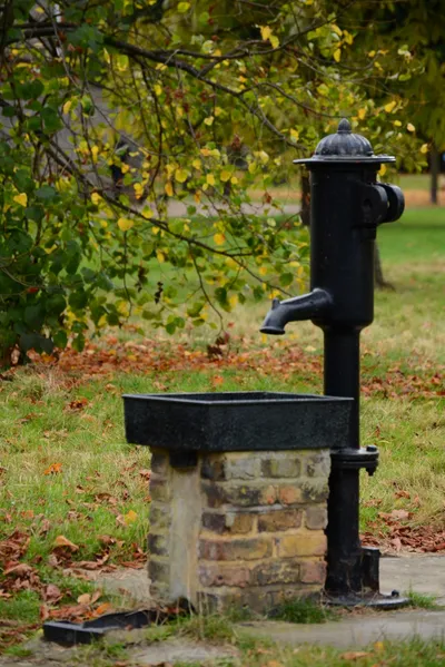 DSC_0474 (Large).JPG